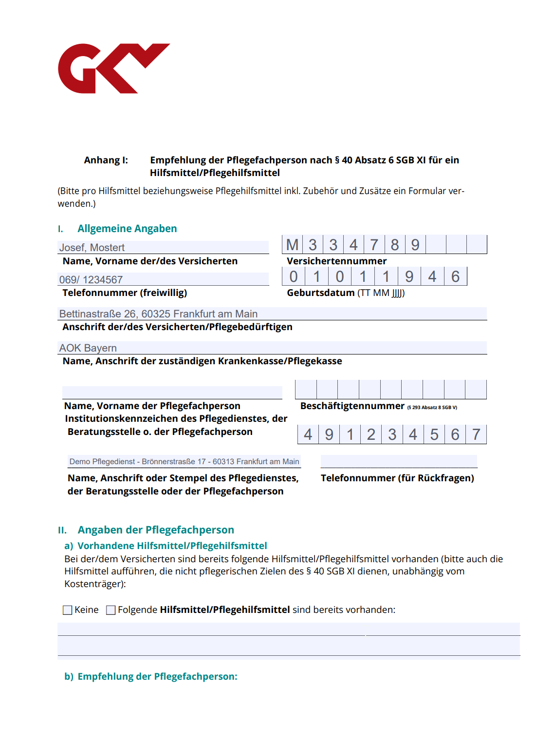 Formular Empfehlung Pflegehilfsmittel