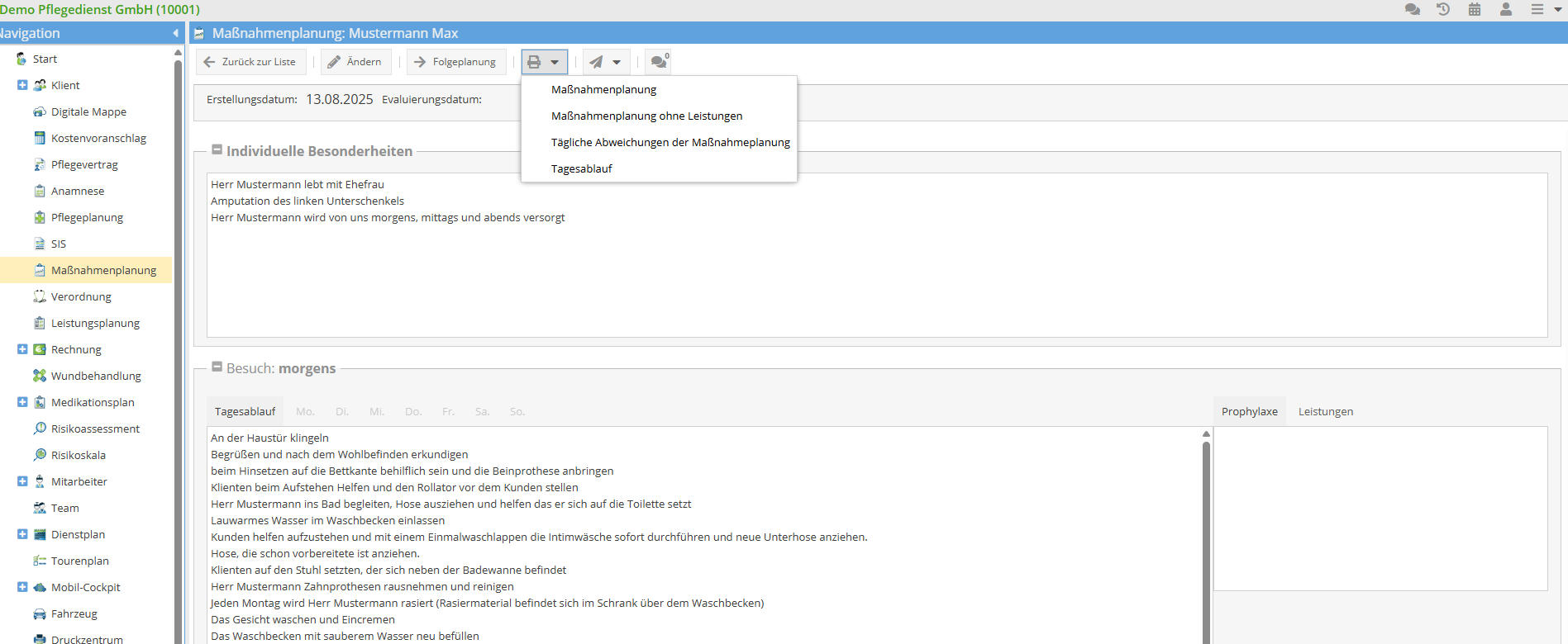 Maßnahmenplanung drucken